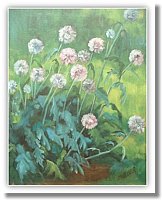 Allium - Oil on Canvas 20 x 16 - $750.jpg