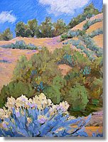 Chimisa Santa Fe NM - Oil on Canvas - $450.jpg